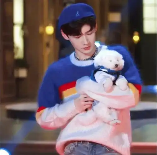 白敬亭7715ˊωˋ1277