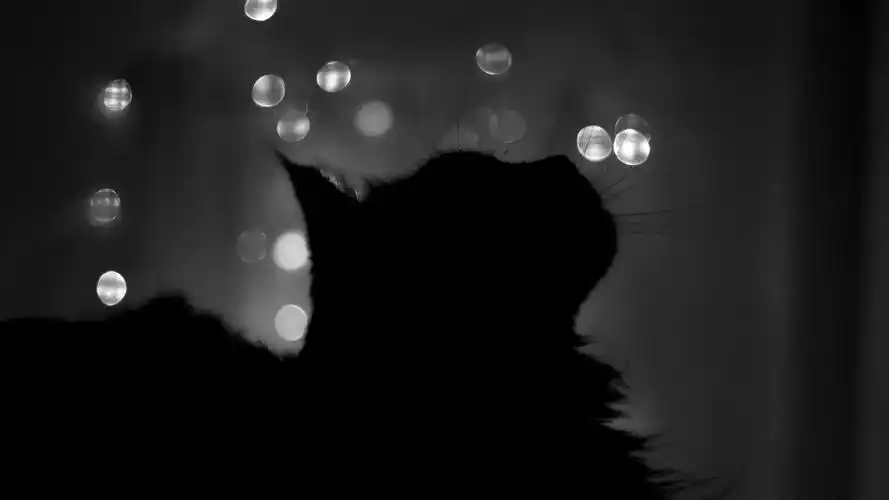 精美黑白风景照唯美高清桌面壁纸