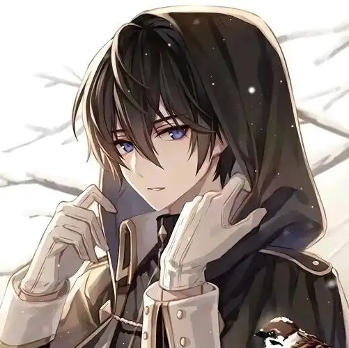 二次元男生头像!