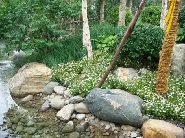 50例景观驳岸几乎囊括所有景观驳岸形式