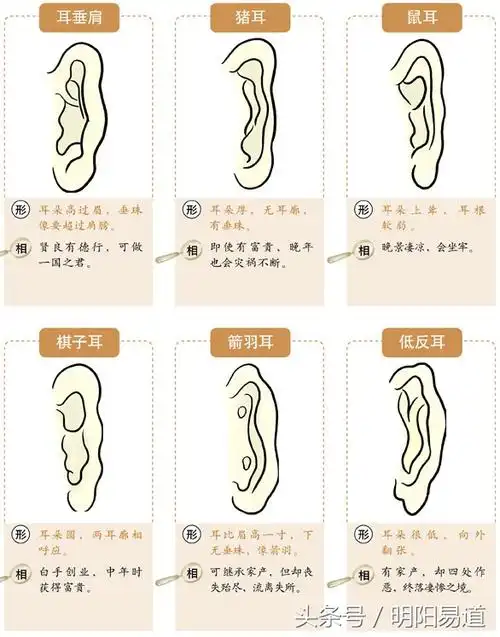 秒懂面相:从耳朵看财运寿命(下)