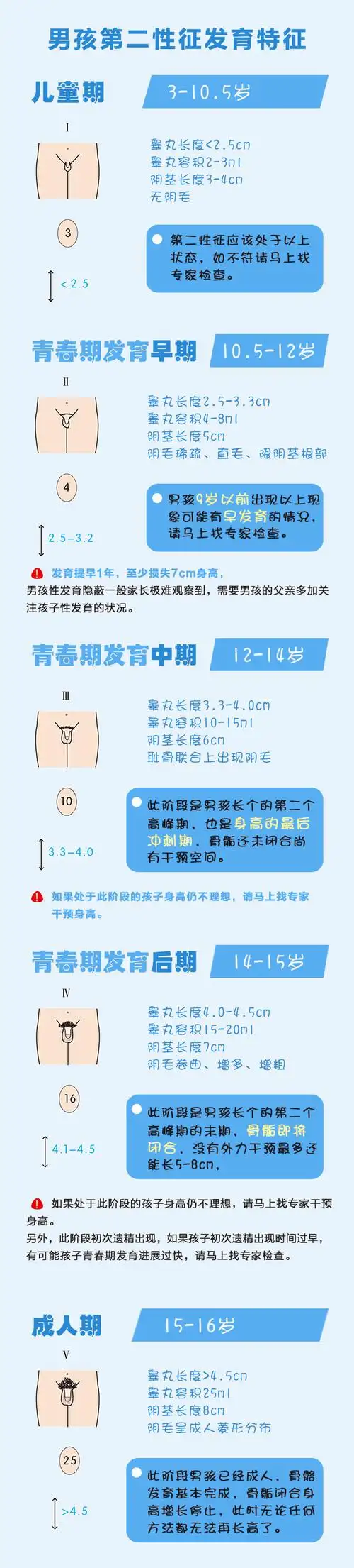 男孩第二性征发育特征这让妈妈们十分惊慌,那究竟孩子是正常发育还是