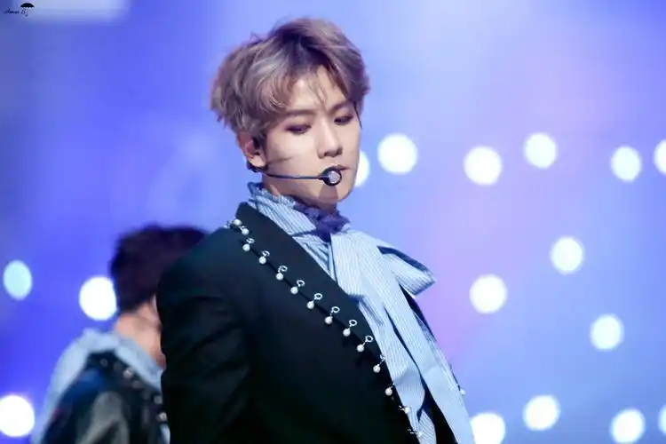 16 mbc歌谣大祭典边伯贤 壁纸