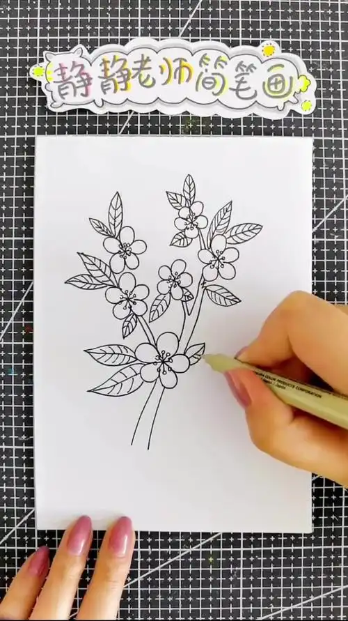 简笔画,桃花,我在这等着你回来