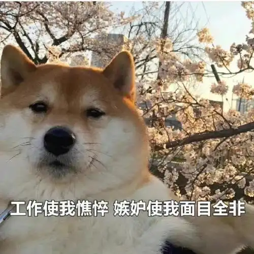 表情包##沙雕表情包