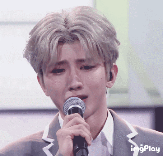 出道100天了我还在收小哭包的图