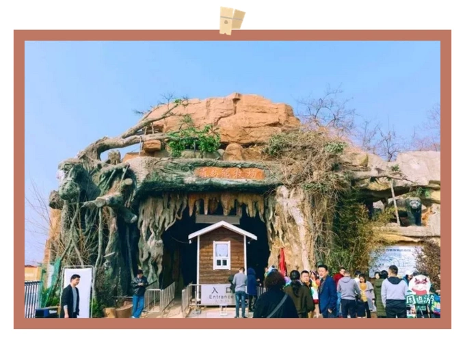 【青岛东方熊牧场】太好玩了,限时特价29.9元!看熊熊走钢丝 !蹬皮球!