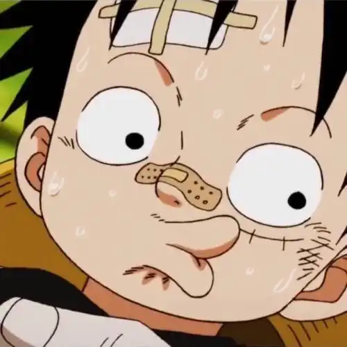 海贼王#动漫头像#路飞#索隆