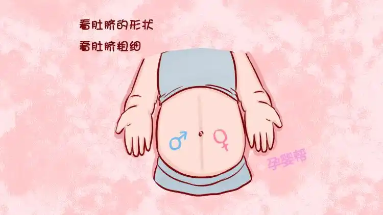 如果肚脐内凹一般是男孩子,肚脐外凸一般是女孩子