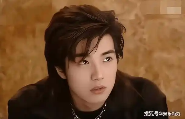 贺军翔曾是台湾偶像剧圈的炙手可热的男主角,被誉为"小美".