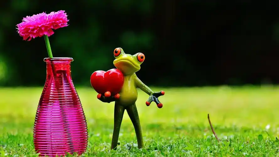 青蛙 爱情 情人节 花瓶 花 爱心 一起浪漫 4k图片壁纸(小清新静态壁纸