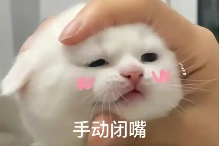 和对象聊天必备表情包#表情包  #可爱表情包  #表情包分享