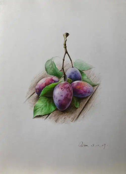 彩铅手绘水果 西梅