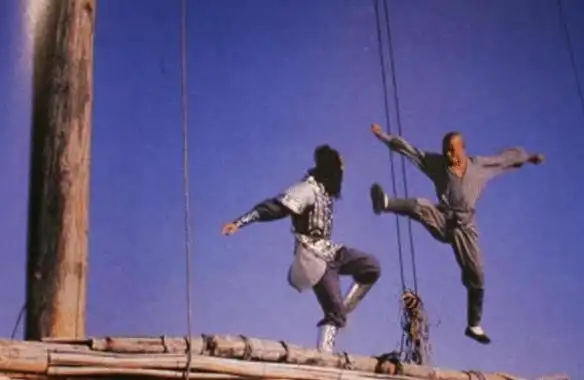 回顾李连杰后事一切从简不立碑不用办丧事树葬海葬都无所谓