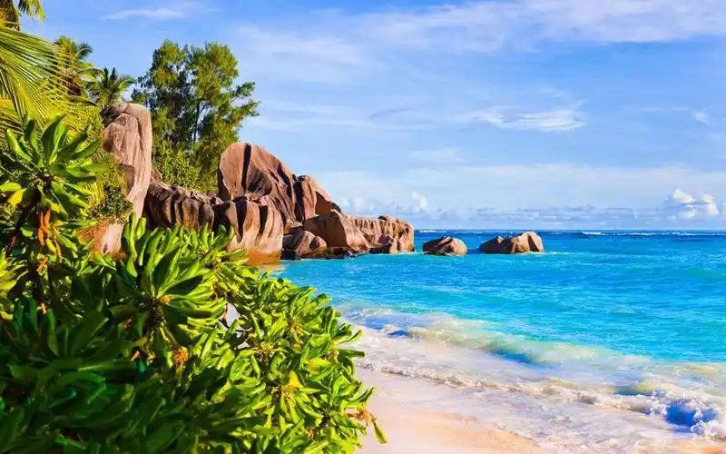 清新唯美海滩风景图片桌面壁纸高清大图预览1920x1200_风景壁纸下载