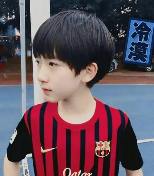 贺峻霖的童年照