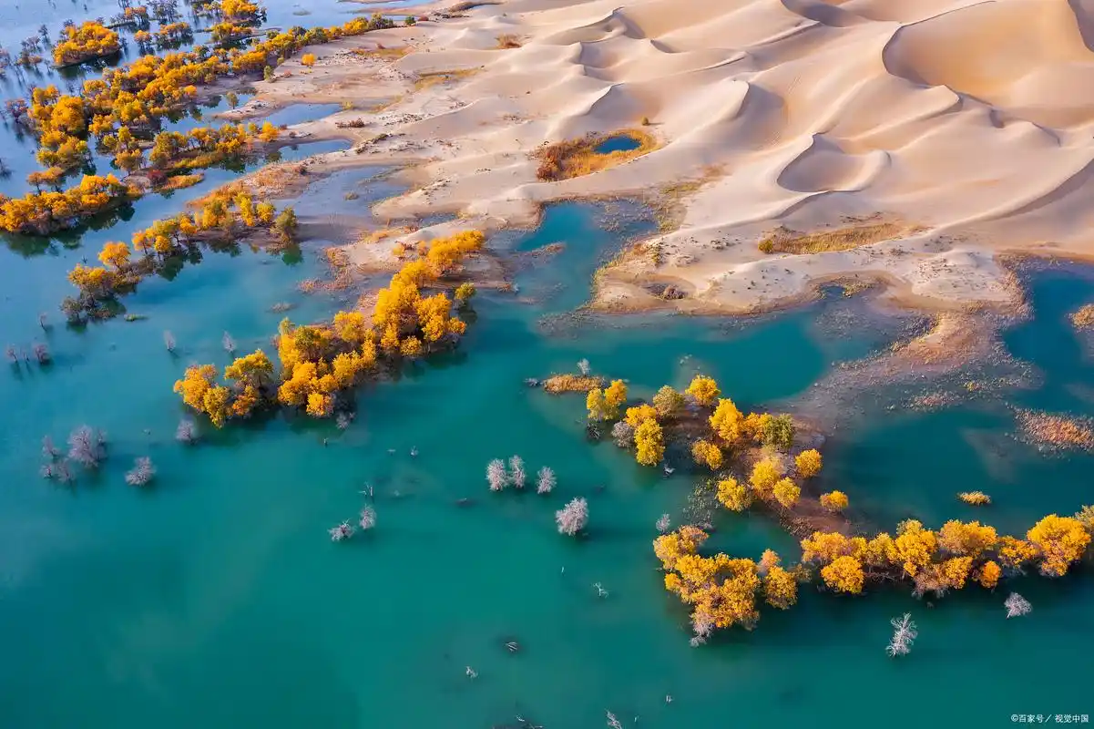 我国能否消灭塔克拉玛干,让沙漠变草原?如果真实现了是好是坏?