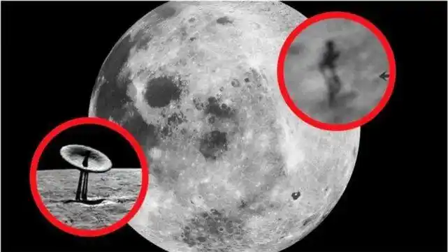 真的有外星人吗