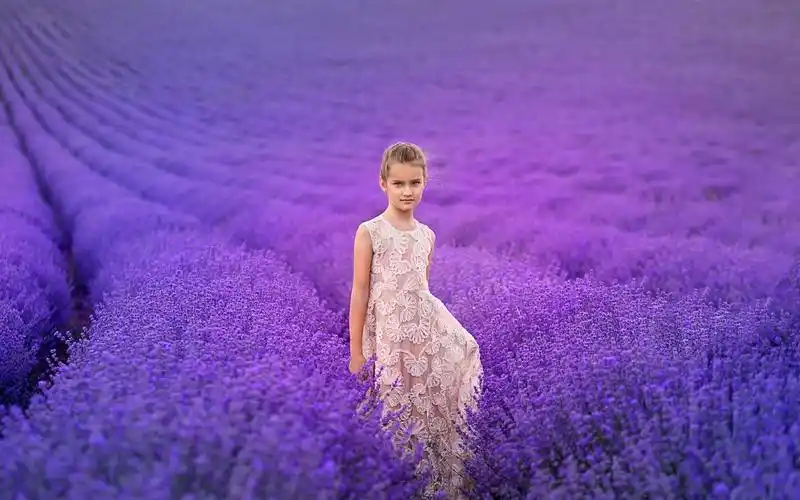 可爱的小女孩,薰衣草花场 640x1136 iphone 5/5s/5c/se 壁纸,图片