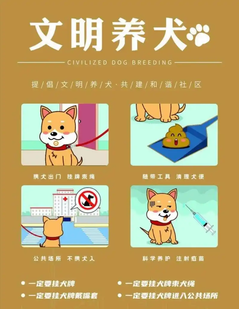 【邻里公约】-98文明养犬!