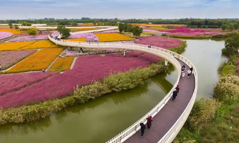 宿迁三台山森林公园