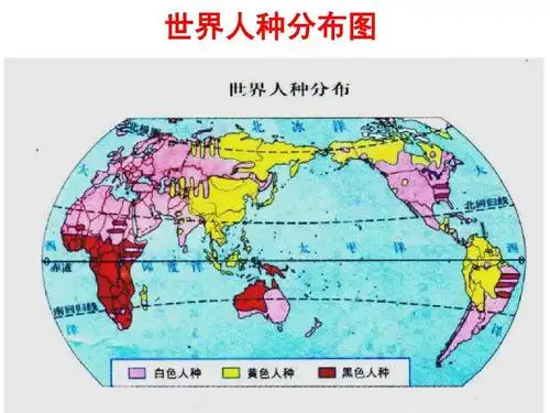 世界人种分布图