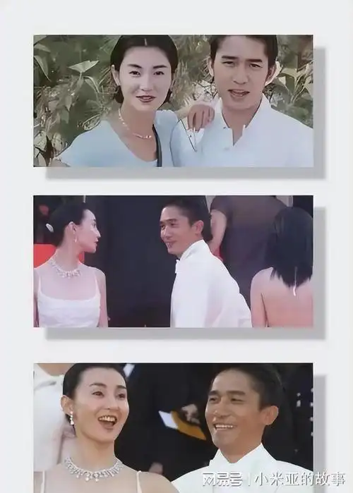 看了梁朝伟和张曼玉2001年的一张合照,才明白她为何选择与狗为伴