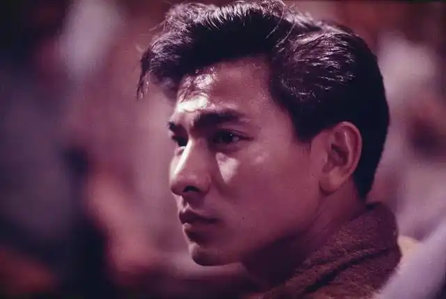 刘德华十大经典电影排行榜,《桃姐》排名第二_遛遛生活网