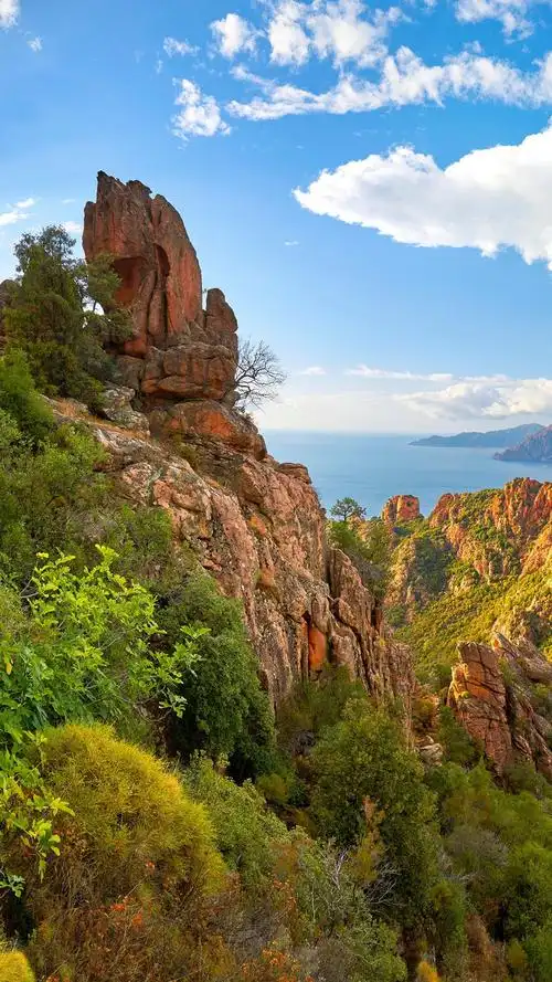 有没有好看的风景手机壁纸最好是比较绿色的谢谢