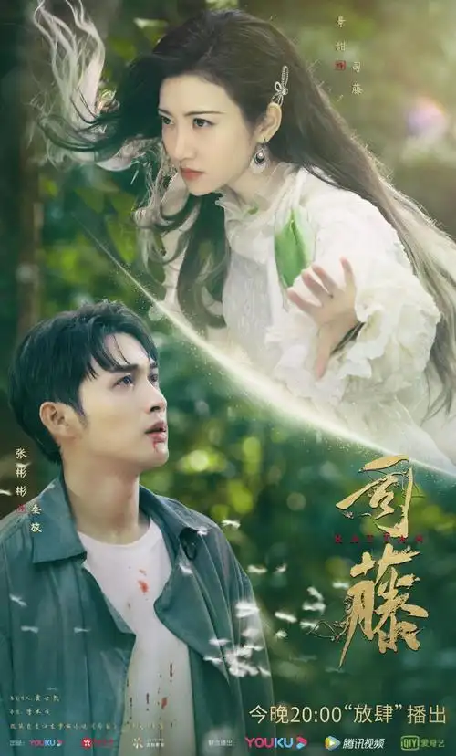 《司藤》中的秦放终于让我见到了他的魅力