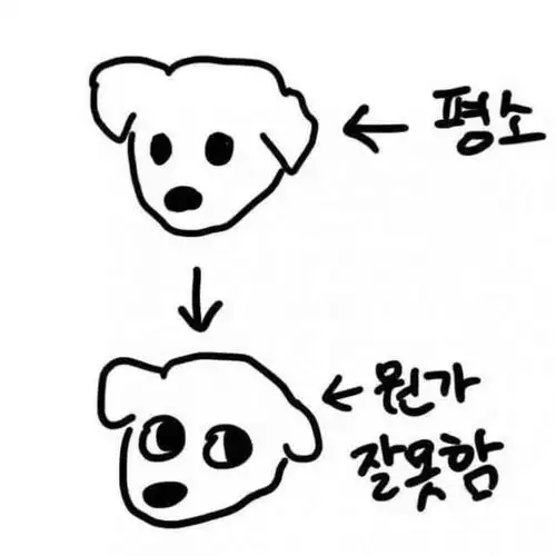 不小心剧透了专辑小卡所以看staff眼色的金钟仁