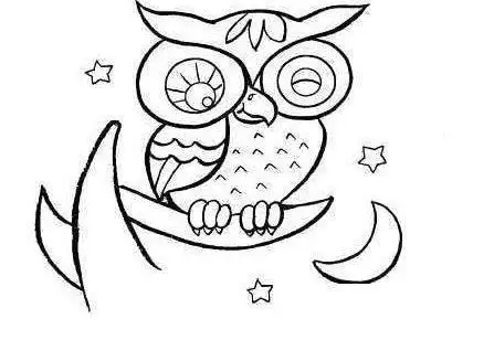 睡觉的猫头鹰的简笔画(冬天的猫头鹰简笔画) -【爱个性】