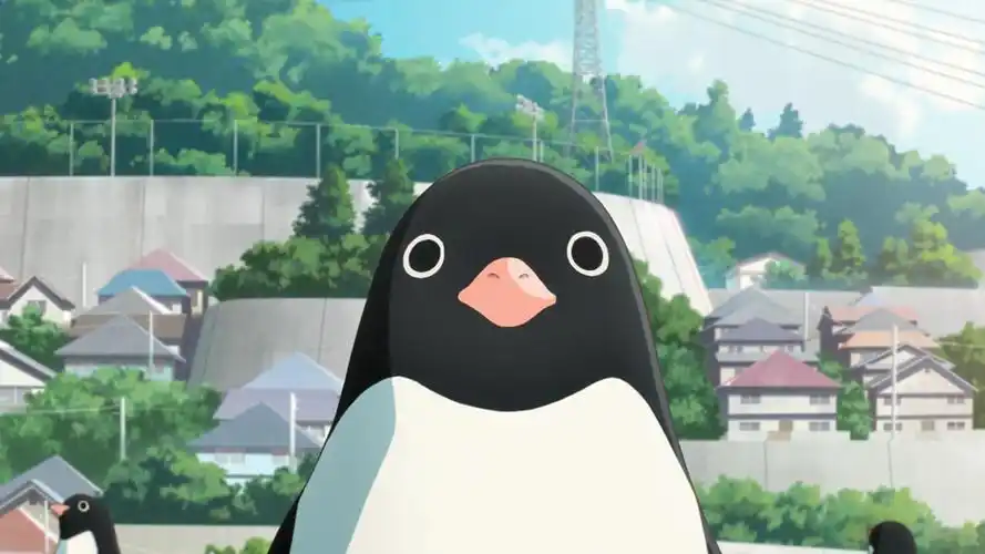 企鹅公路ペンギン99ハイウェイ2018