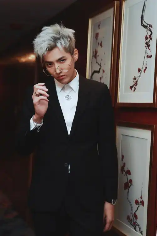 吴亦凡银发雅痞范现身盛典 贵公子范儿惊艳全场_高清图集_新浪网