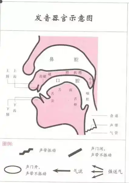唱歌如何让声音更加饱满有磁性有穿透力