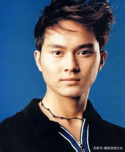 明星图集:张智霖,看他的电视被他的帅气给惊到了,唱歌也很好听