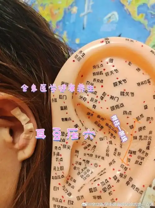 为什么耳朵里面会长这种痘#看看中医耳诊图就知道了,对号入座.