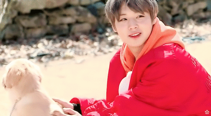 700_385gif 动态图 动图