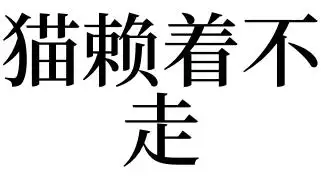 梦见猫赖着不走有什么预兆好不好