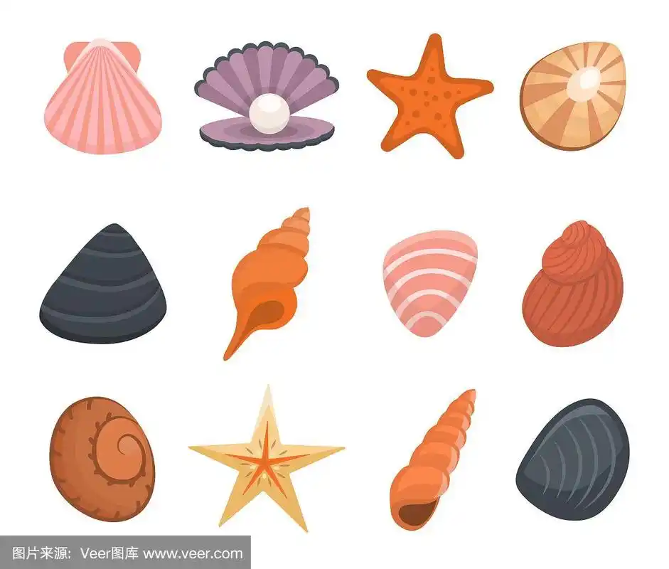 卡通色彩各种贝壳图标集