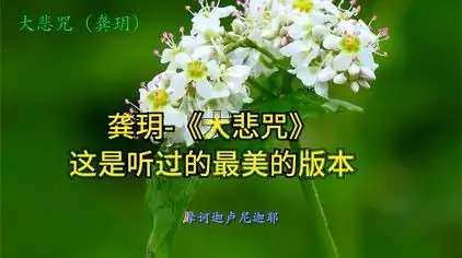 大悲咒原唱 - 西瓜视频