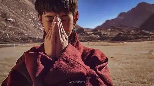 锁屏再更新,预告截修1p