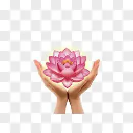 手捧莲花pngpsd莲花素材png莲花的形象png莲花莲藕卡通图片png佛教