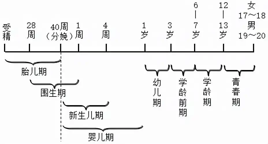 小儿年龄的8个分期小儿年龄分期分为