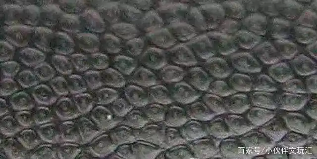 真假犀牛角的鉴别方法——犀角知识大全(中集)