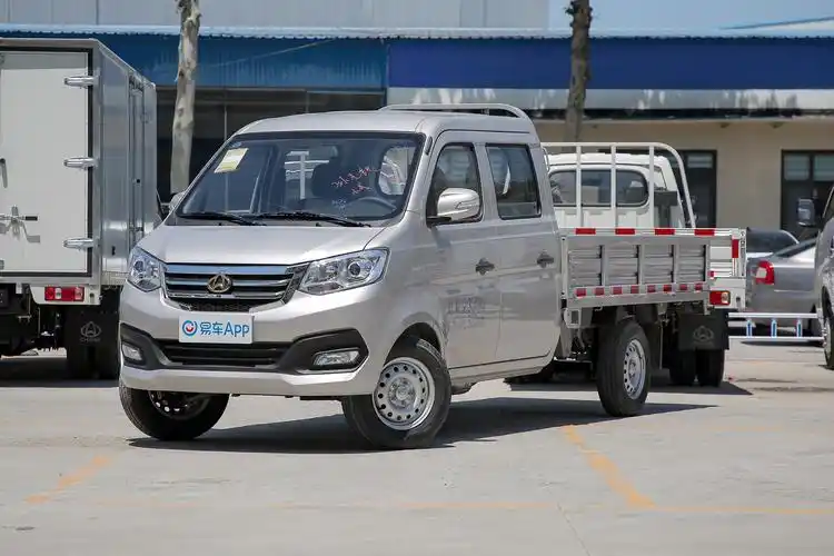 2021款新豹t3标准版东安16l122马力252米栏板双排汽油国Ⅵ