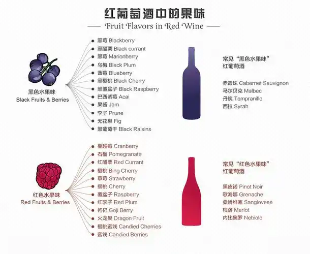 二,红葡萄酒中的果味