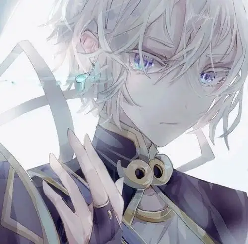 时冷时热(冰冷孤傲)(散发着一种王者的气概)白头发,右眼紫瞳,左眼金瞳