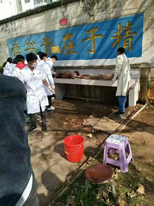 医学院学生直接在学生饮用水取水处冲洗尸体标本