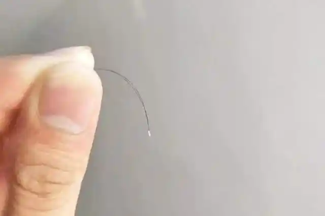 掉发发根上总有小白点,它真的是毛囊吗?没了毛囊头发还会长吗?